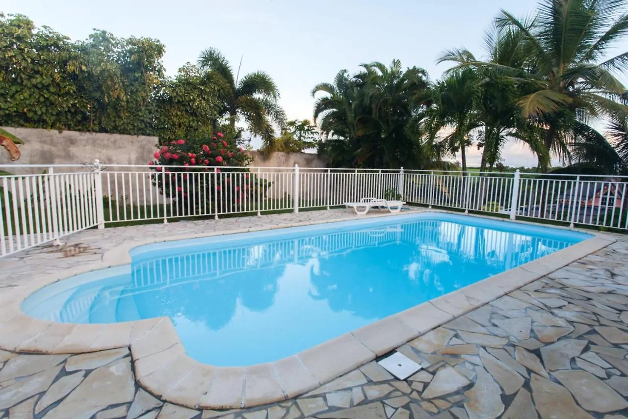 Apartment Appartement Confortable A Sainte Anne 42 M² Avec Piscine Partagee